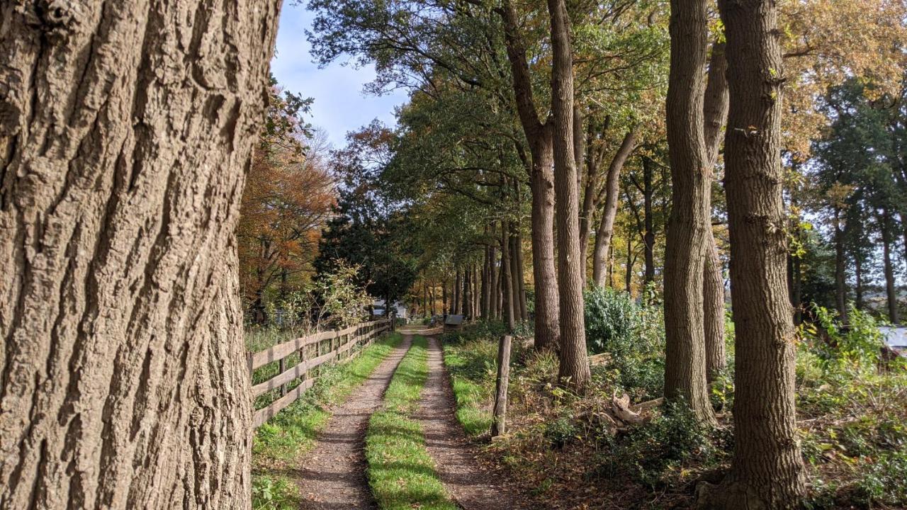 Chalet Op De Veluwe # Linde Putten Exterior foto